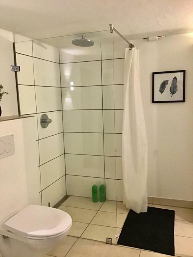 Special Offer,One Of Its Kind, Extremely Central In Herning, Danish Hosts, Extremely Clean, Very Quiet Street But A Stonethrough From Bars & Restaurants Lejlighed Eksteriør billede