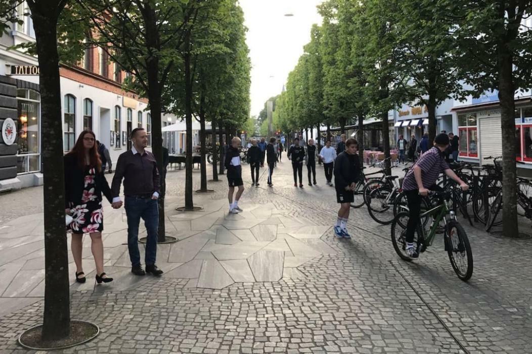 Special Offer,One Of Its Kind, Extremely Central In Herning, Danish Hosts, Extremely Clean, Very Quiet Street But A Stonethrough From Bars & Restaurants Lejlighed Eksteriør billede